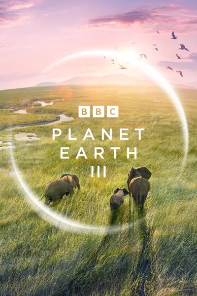 Planeta Tierra III