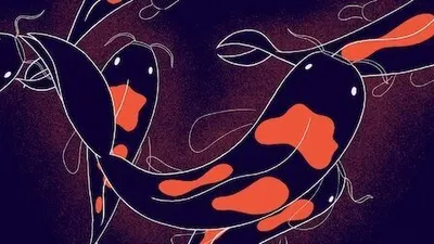 El extraño mundo de los sueños
