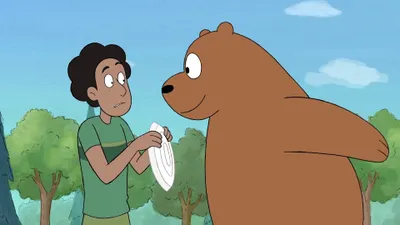 Osos cotidianos