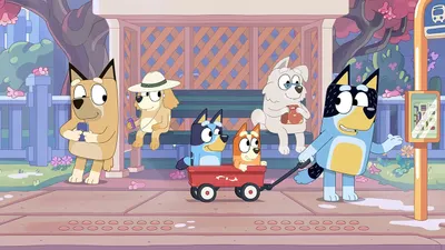 Paseo en carrito