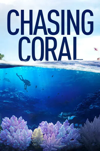 En busca del coral