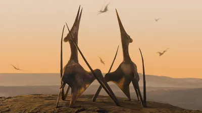 Desiertos