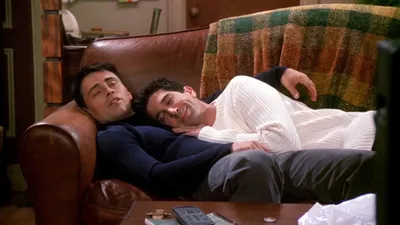 El de los compañeros de siesta