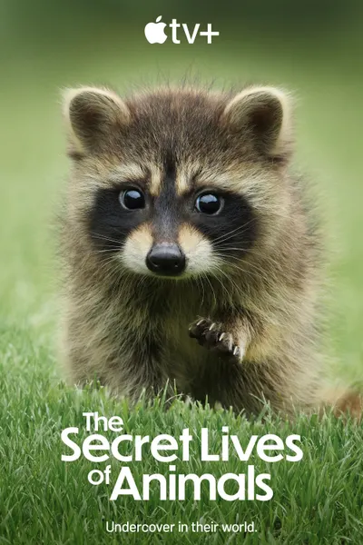 La vida secreta de los animales