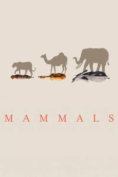 Mamíferos