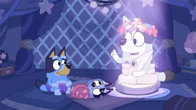 Bumpy y el sabio sabueso