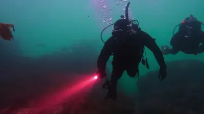 Aguas alienígenas