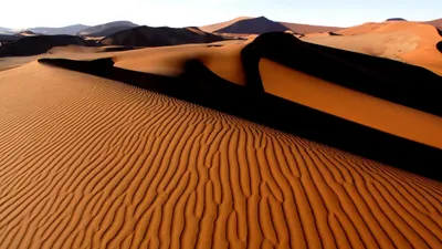 Desiertos