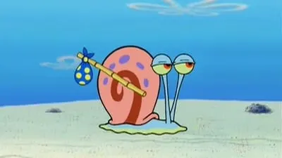 ¿Han Visto a este Caracol?
