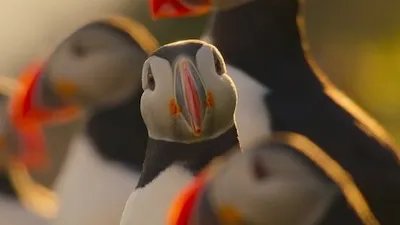 Océano Atlántico