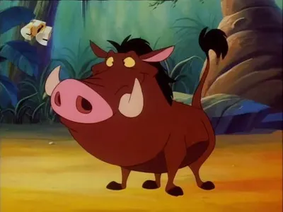 Que llegan los mapaches