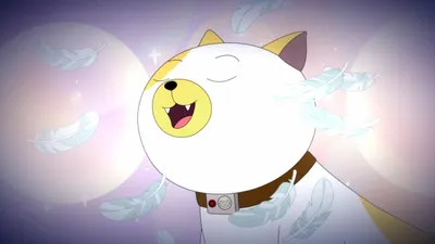 Cake el Gato