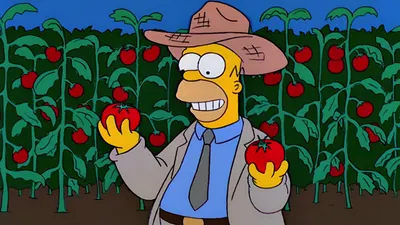 Homero granjero