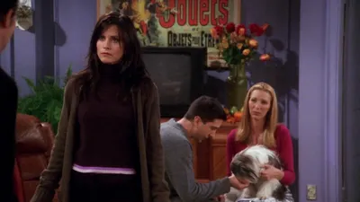 El de cuando a Chandler no le gustan los perros