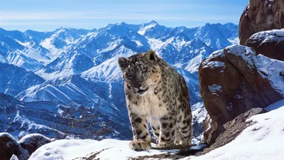 Montañas